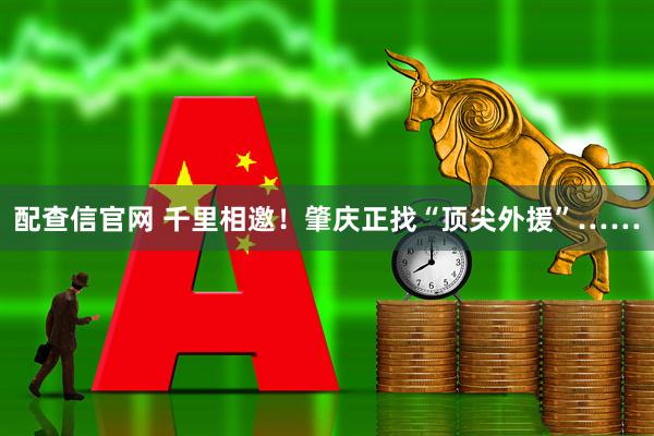 配查信官网 千里相邀！肇庆正找“顶尖外援”……