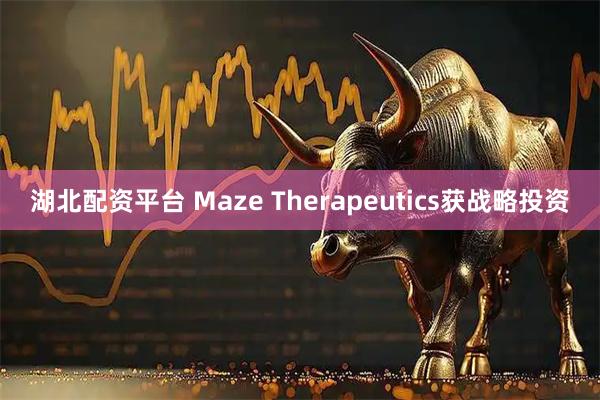 湖北配资平台 Maze Therapeutics获战略投资