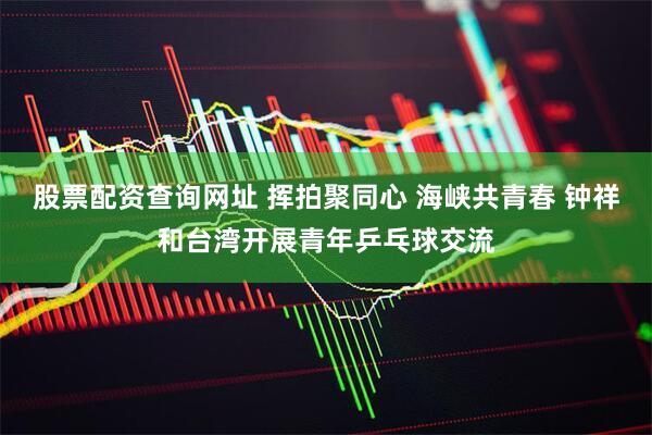 股票配资查询网址 挥拍聚同心 海峡共青春 钟祥和台湾开展青年乒乓球交流